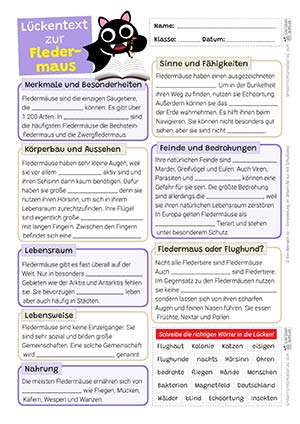 Fledermaus Lückentext