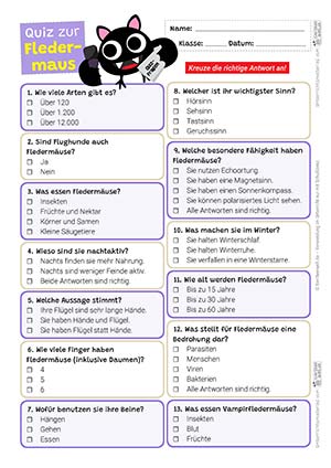 Fledermaus Quiz