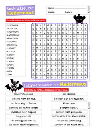 Fledermaus Suchrätsel