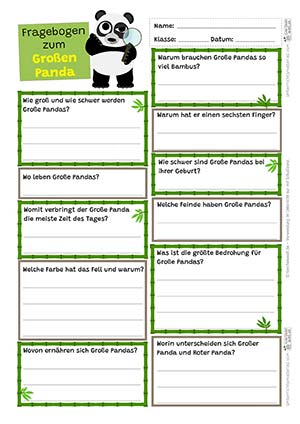 Großer Panda Fragebogen