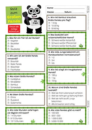 Großer Panda Quiz