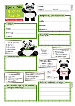 Großer Panda Steckbrief