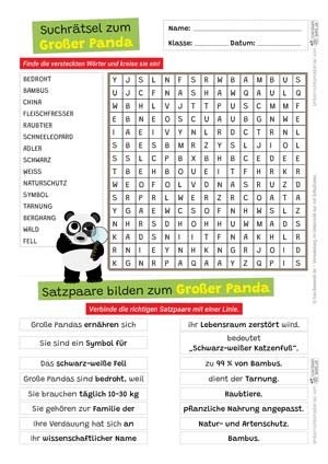 Großer Panda Suchsel und Satzpaare