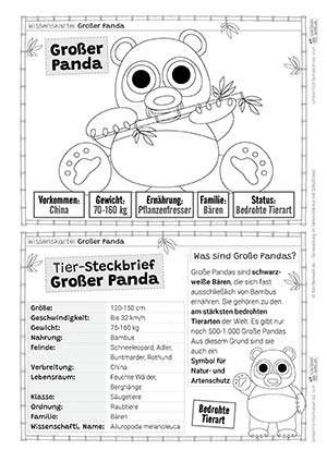 Großer Panda - 18 Wissenskarten in Schwarz-Weiß