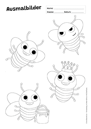 Honigbiene Fragen