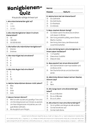 Honigbiene Quiz