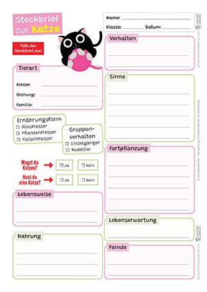 Katze Steckbrief