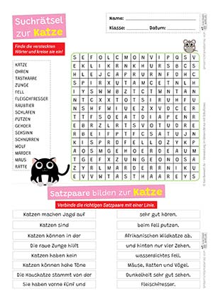 Katze Suchrätsel