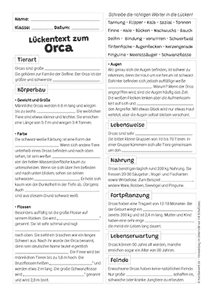 Orca Lückentext