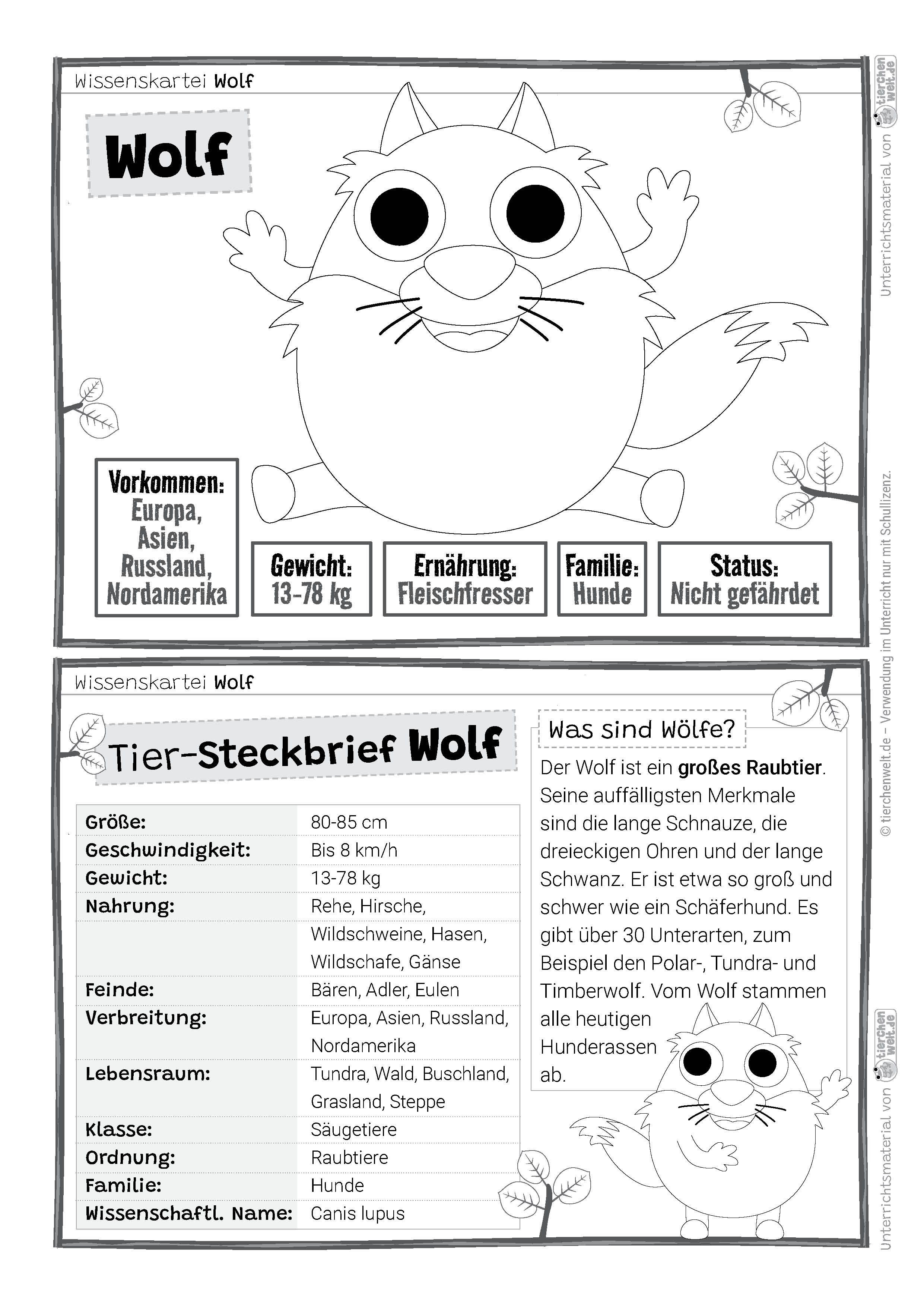 Wolf - 14 Wissenskarten in Schwarz-Weiß