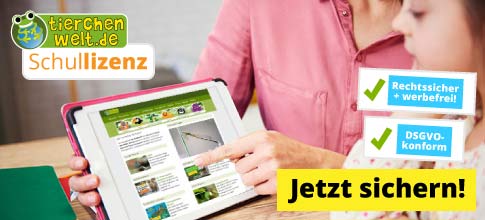 Verwendung im Unterricht nur mit Schullizenz