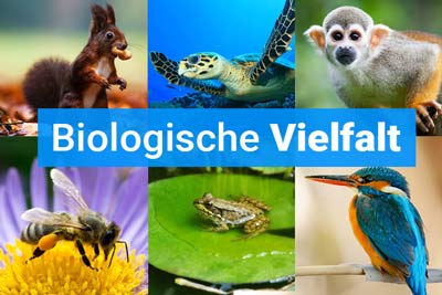 Biologische Vielfalt