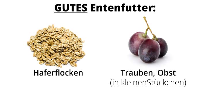 Gutes Entenfutter