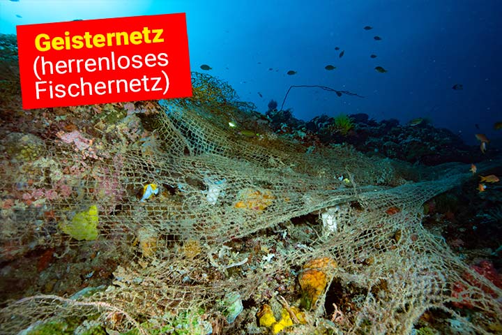 Fischernetze, die herrenlos im Meer treiben nennt man Geisternetze