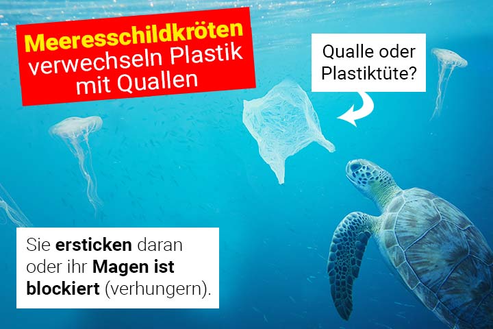 Schildkröten verwechseln Plastiktüten mit Quallen
