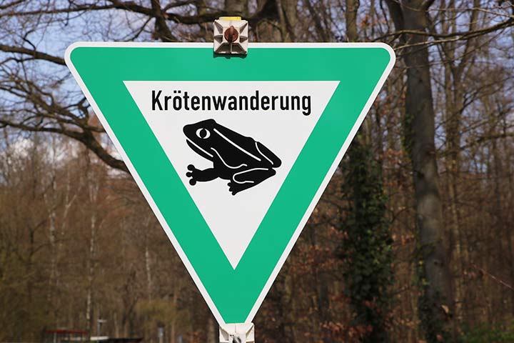 Krötenwanderung-Schild