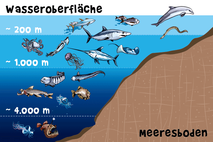 Tiefsee-Wasserzonen