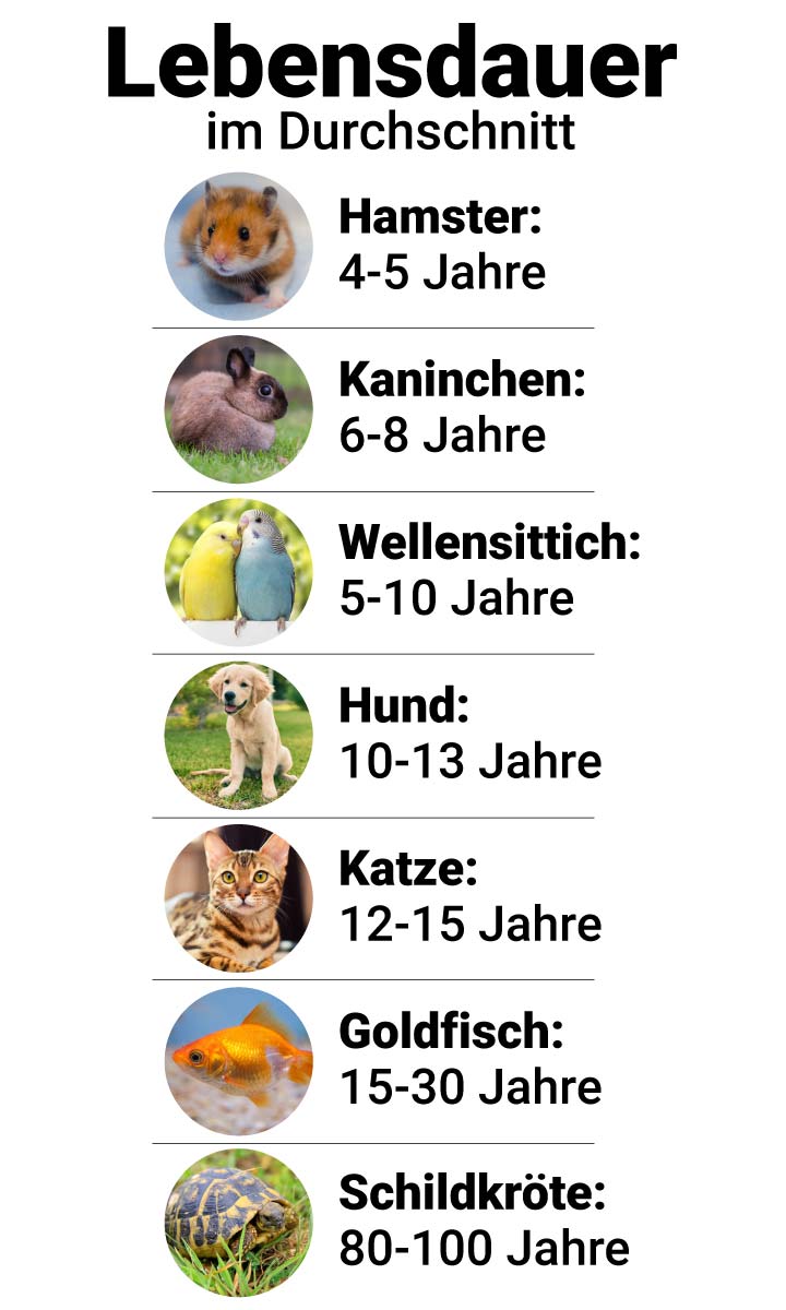 Wie alt werden Tiere?