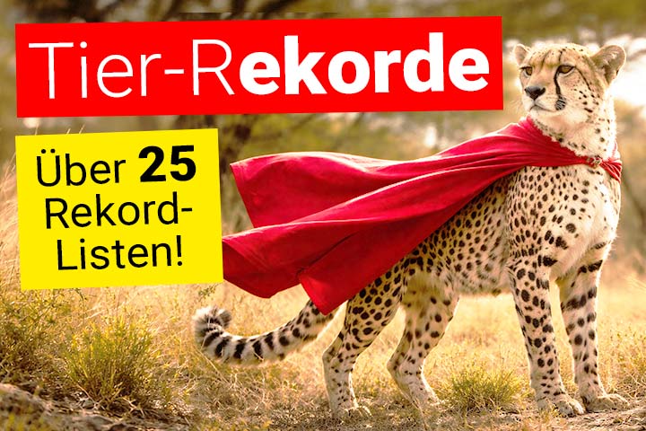 Tier-Rekorde