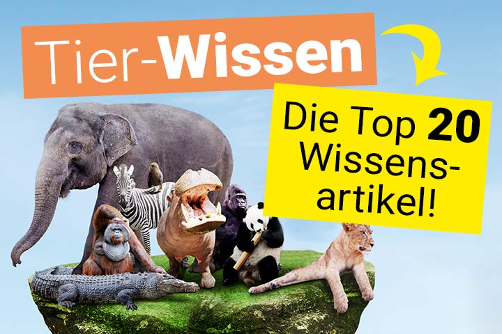 Tier-Wissen