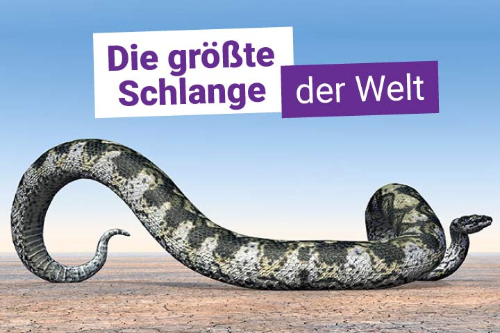 Die größte Schlange der Welt