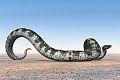 Größte Schlange der Welt: 14 m lang und 1,25 Tonnen schwer