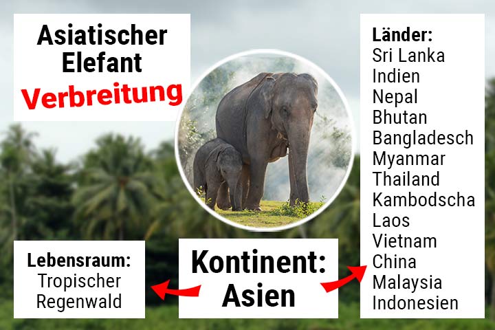 Verbreitung und Lebensraum des Asiatischen Elefanten