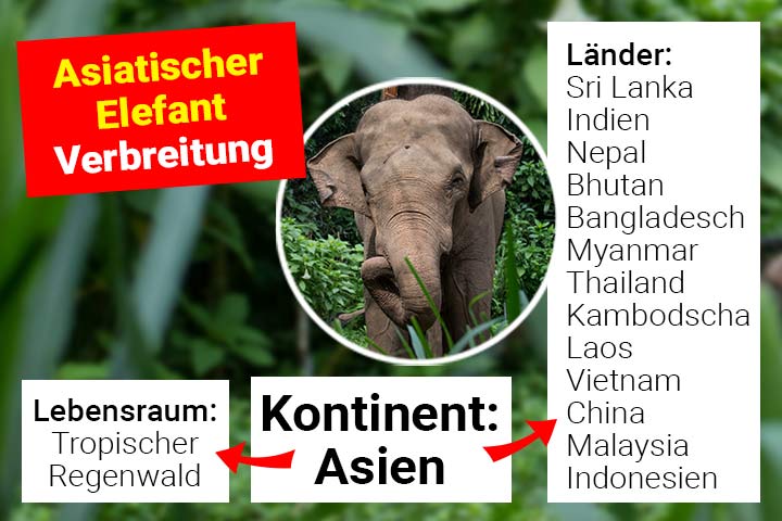 Verbreitung und Lebensraum des Asiatischen Elefanten