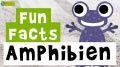 Video: 11 Fun Facts über Amphibien