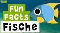 Video: 11 Fun Facts über Fische