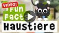 Video: 11 Fun Facts über Haustiere