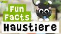 Video: 11 Fun Facts über Haustiere