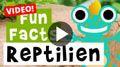 Video: 11 Fun-Facts über Reptilien