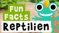 Video: 11 Fun Facts über Reptilien