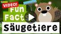 Video: 11 Fun-Facts über Säugetiere