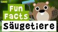Video: 11 Fun Facts über Säugetiere
